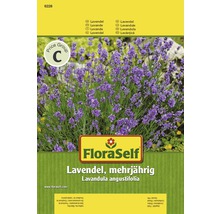 Lavendel 'Mehrjährig' FloraSelf samenfestes Saatgut Kräutersamen-thumb-0