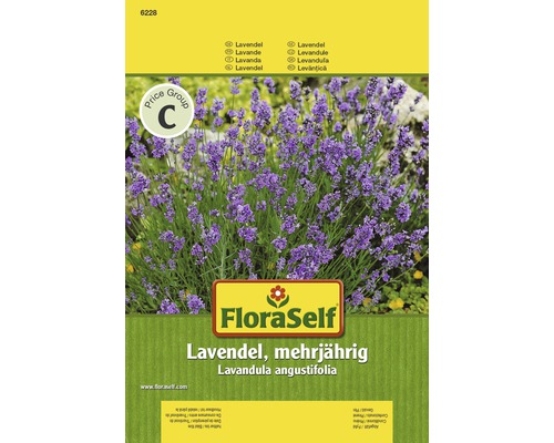 Lavendel 'Mehrjährig' FloraSelf samenfestes Saatgut Kräutersamen-0