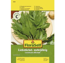 Liebstöckel, Maggikraut 'Mehrjährig' FloraSelf samenfestes Saatgut Kräutersamen-thumb-0