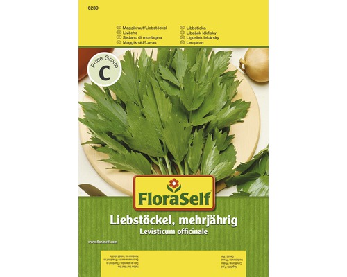 Liebstöckel, Maggikraut 'Mehrjährig' FloraSelf samenfestes Saatgut Kräutersamen
