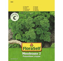 Petersilie 'Mooskrause 2' FloraSelf samenfestes Saatgut Kräutersamen-thumb-0