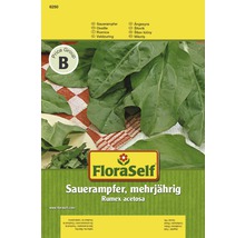 Samenpackung mehrjähriger Sauerampfer