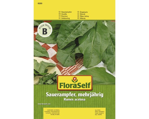 Samenpackung mehrjähriger Sauerampfer