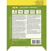 Sauerampfer mehrjährig Saatgutpackung von FloraSelf