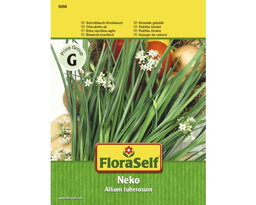 Schnittlauch-Knoblauch 'Neko' FloraSelf samenfestes Saatgut | HORNBACH AT