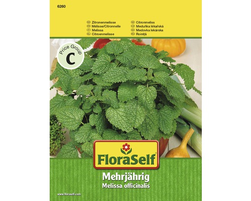Zitronenmelisse FloraSelf samenfestes Saatgut Kräutersamen
