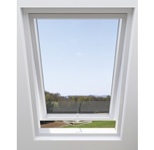Dachfenster mit Insektenschutzgitter und Ausblick auf die Natur