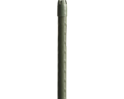 Pflanzstab FloraSelf 240 cm, grün Einzelnes Bewässerungsrohr