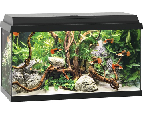 Aquarium JUWEL Primo 60 mit LED-Beleuchtung, Heizer, Filter ohne Unterschrank schwarz