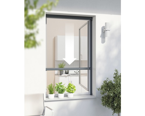 Insektenschutz Windhager PLUS Rollo-Fenster ohne Bohren anthrazit 160x160 cm Fliegengitter für Fenster mit Abrollautomatik und heruntergezogenem Netz