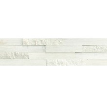 Naturstein Verblendstein Marmor 10,0x40,0 cm weiß;grau