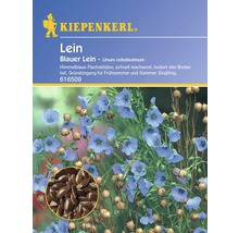 Kiepenkerl Leinsamenpackung mit blauen Blüten und Samen