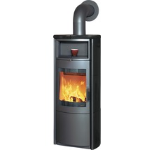 Kaminofen mit Holzfeuer und Sichtfenster