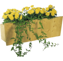Holzpflanzkasten mit gelben Blumen und grünen Ranken