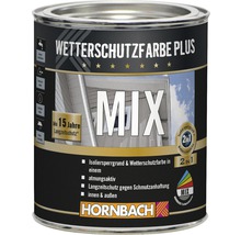 WetterSchutzFarbe Plus Farbmischdose für den Außenbereich