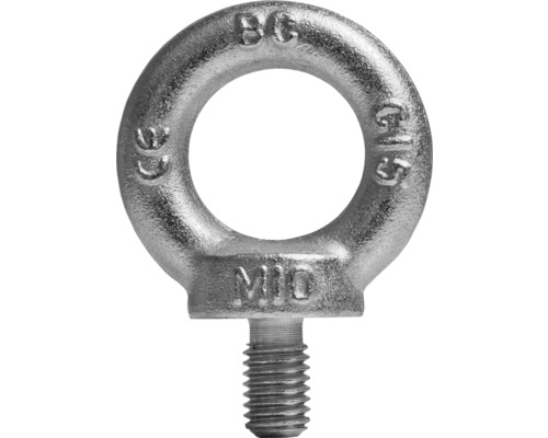 Ringschraube (ähnl. DIN 580) M10 galv.verzinkt, 10 Stück Ösenmutter M10 aus Metall