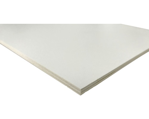 Sperrholz Pappel PVC weiß 1200x600x6 mm Beschichtete Sperrholzplatte