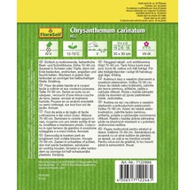 Chrysanthemum carinatum Mix Saatgutpackung
