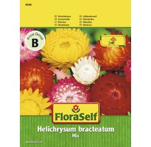 FloraSelf Saatgut Strohblume Helichrysum bracteatum Mix