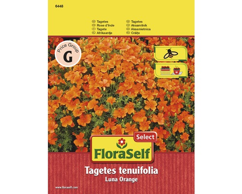 Tagetes tenuifolia Luna Orange Samenpackung
