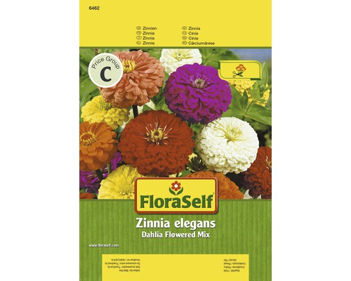 Zinnie 'Dahlia Flowered Mix' FloraSelf samenfestes Saatgut Blumensamen-0