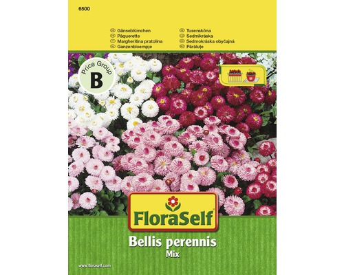 FloraSelf Bellis perennis Mix Packung mit Gänseblümchen Samen