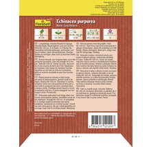 Samenpackung Echinacea purpurea Roter Leuchtstern der Marke FloraSelf Select