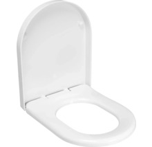 Toilettendeckel aus Kunststoff
