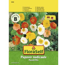 FloraSelf Islandmohn Pastell-Mix Samenpackung