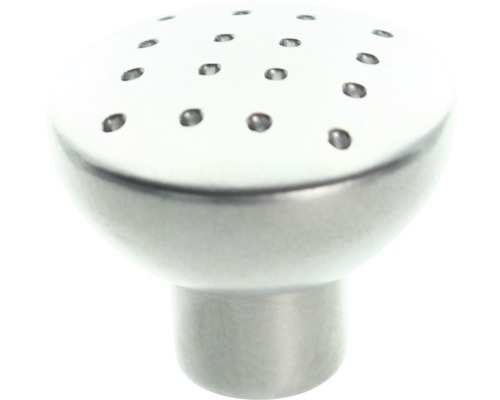 Brausekopf aus Metall mit Löchern