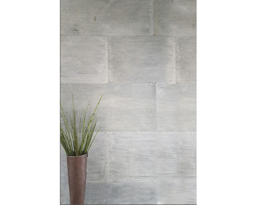 Wandgestaltung mit Steinfliesen und dekorativem Gras im Topf.