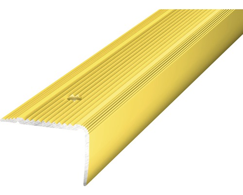 Prinz Treppenkantenprofil Alu gold gelocht 30 x 20 x 2500 mm Treppenkantenprofil aus Metall