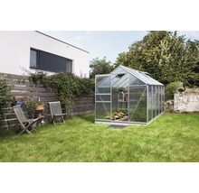 Gewächshaus im Garten mit geöffneter Tür und Pflanzenregalen.