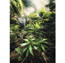 Landschaft mit Wasserfall, Felsen und tropischer Vegetation