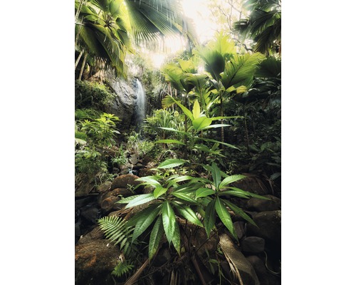 Landschaft mit Wasserfall, Felsen und tropischer Vegetation