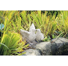 Dekorative Taubenfiguren im Garten zwischen Gras auf Stein