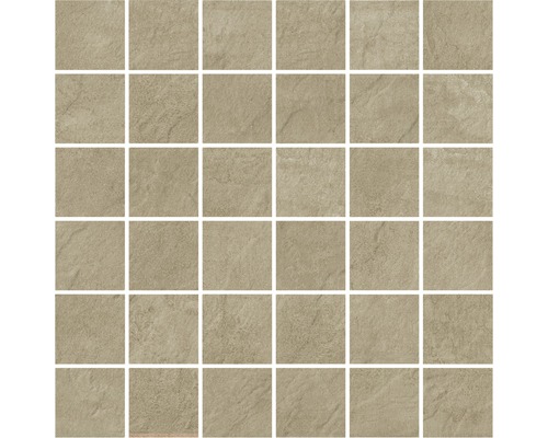 Feinsteinzeugmosaik Pietra 30,0x30,0 cm beige matt