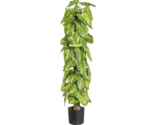 Kunstpflanze Syngonium mit Cocosstamm Höhe: 90 cm grün