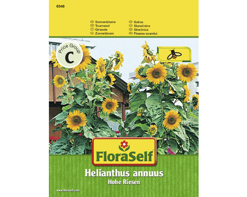 Sonnenblume 'Hohe Riesen' FloraSelf samenfestes Saatgut Blumensamen