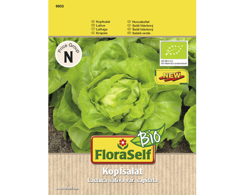Bio Kopfsalat 'Suzan' FloraSelf Bio samenfestes Saatgut Gemüsesamen