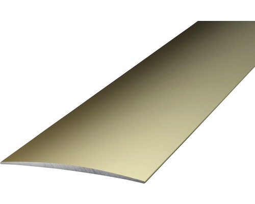 Prinz Übergangsprofil Alu Edelstahl matt selbstklebend 40 x 1000 x 4,6 mm Aluminiumprofil