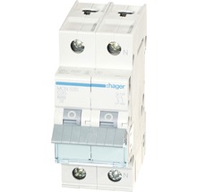 Hager Leitungsschutzschalter C20