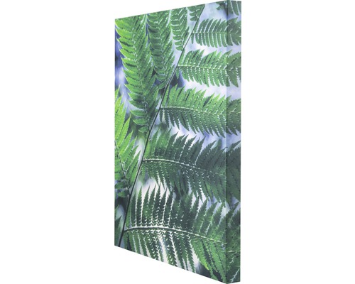 Leinwandbild mit Farnmotiv