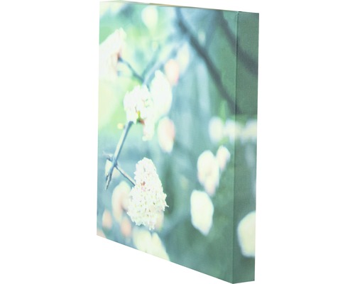 Leinwandbild mit Blumenmotiv