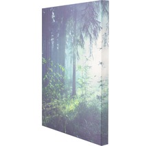 Leinwandbild mit Waldmotiv