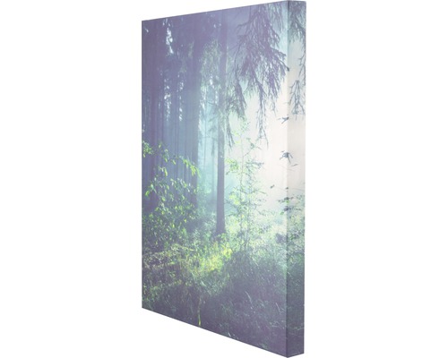 Leinwandbild mit Waldmotiv