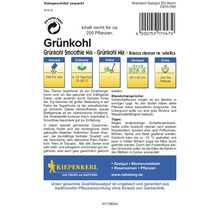Grünkohl Smoothie Mix Saatgutpackung von Kiepenkerl