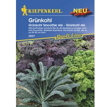 Kiepenkerl Logo. Packung Grünkohl Smoothie Mix, drei Sorten als Mix, circa 80 bis 90 cm hoch.