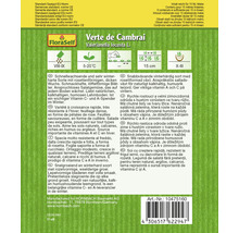 Verte de Cambrai Feldsalat samentresicher