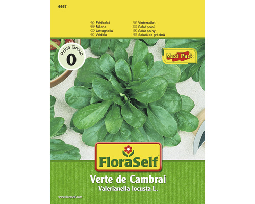 Feldsalat 'Verte de Cambrai' FloraSelf Salatsamen Vorteilspackung samenfestes Saatgut